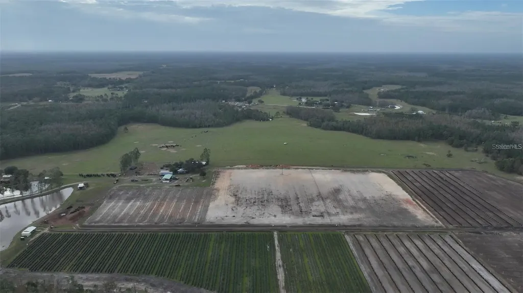 Berry Groves Road Drive Clermont FL 34714