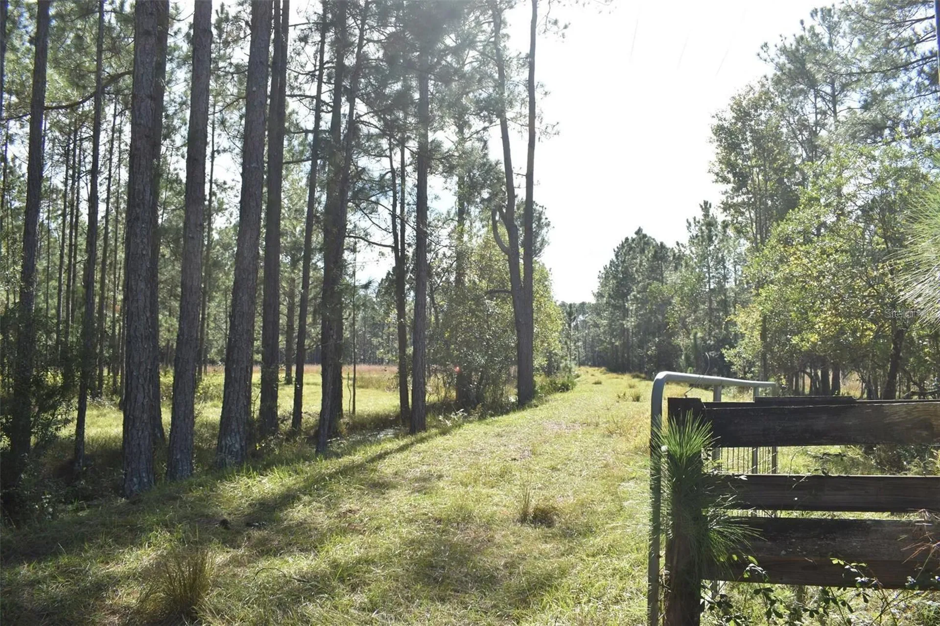 Berry Groves Road Drive Clermont FL 34714