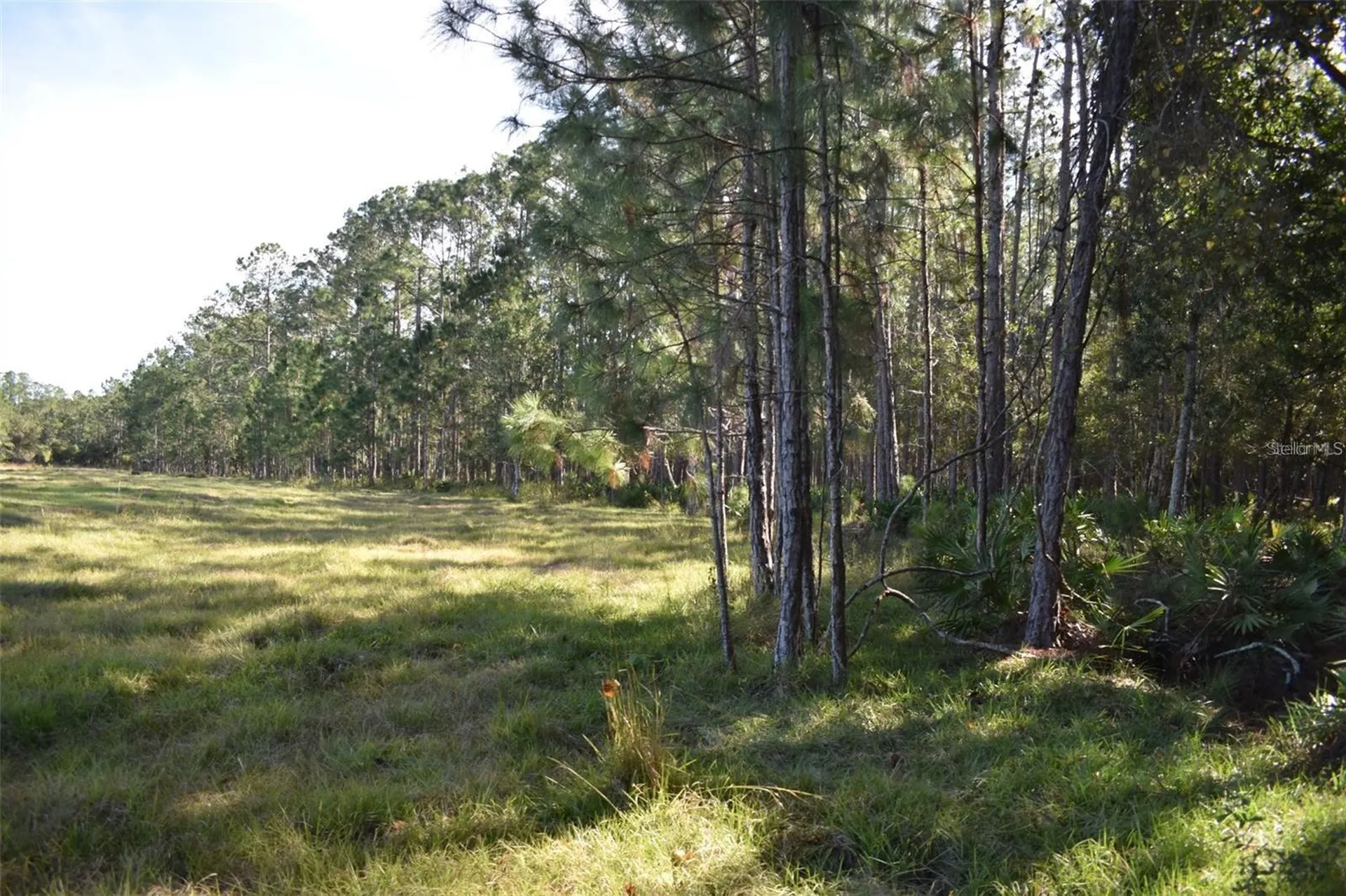 Berry Groves Road Drive Clermont FL 34714