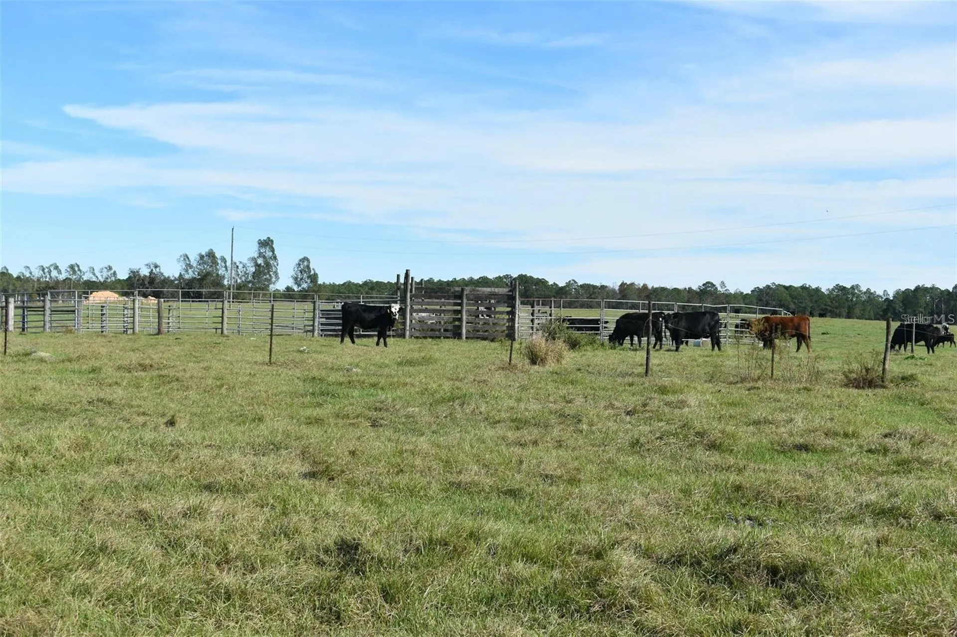 Berry Groves Road Drive Clermont FL 34714