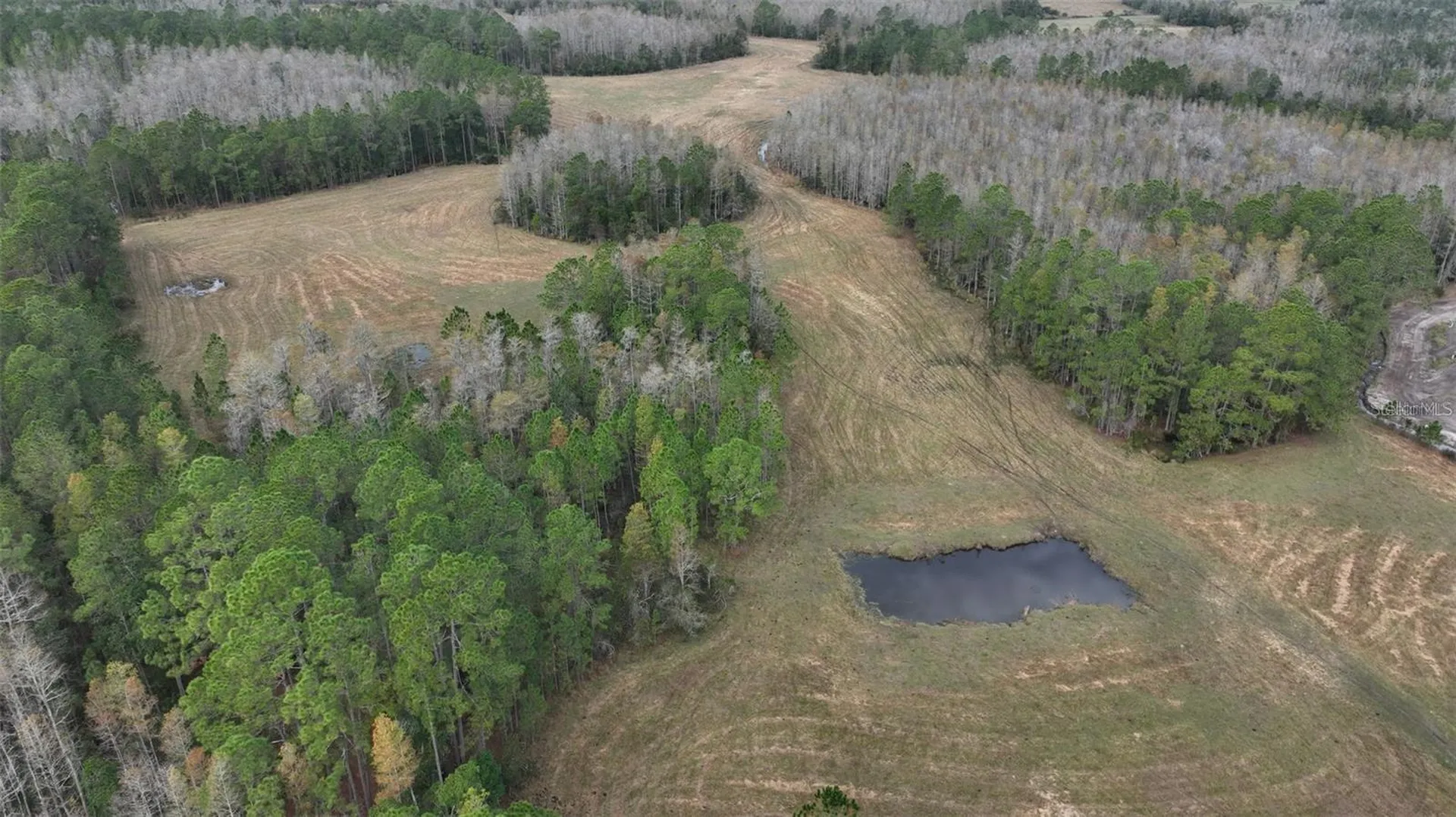 Berry Groves Road Drive Clermont FL 34714