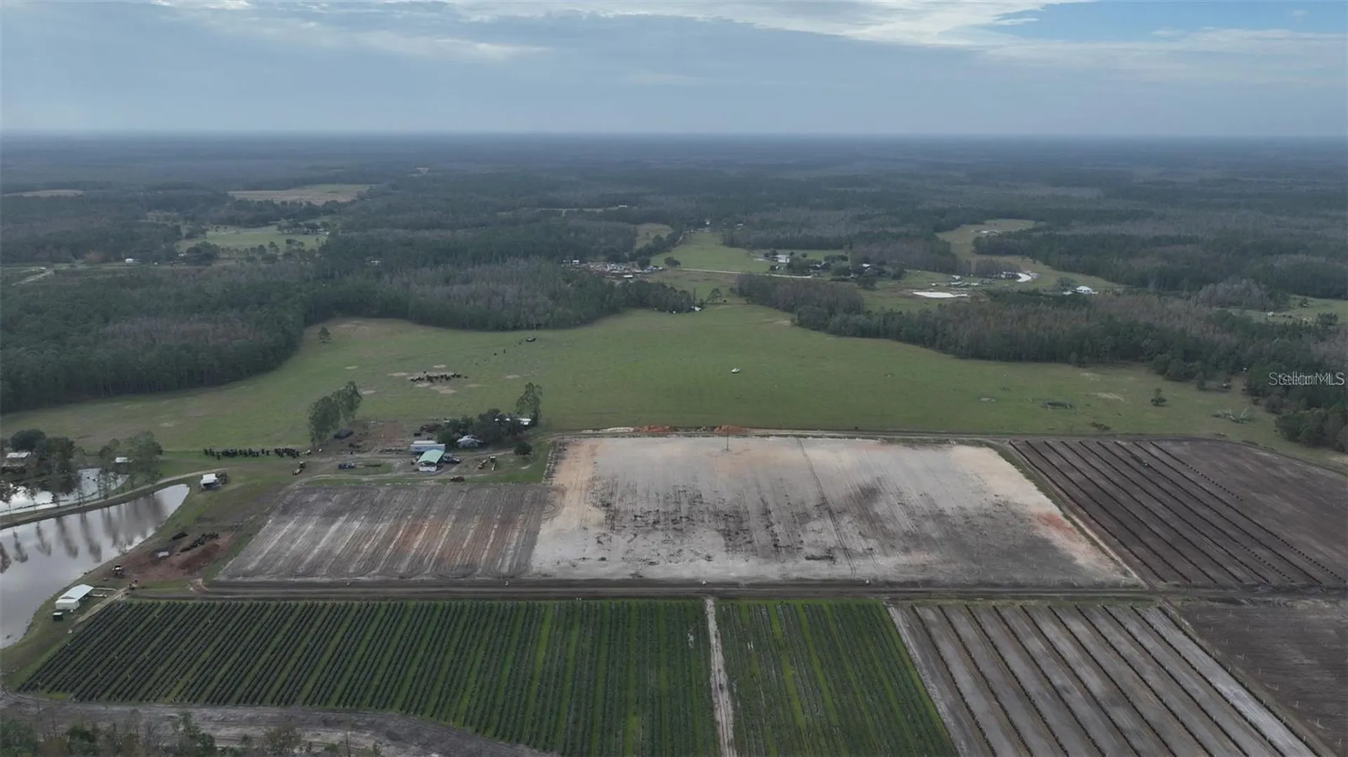 Berry Groves Road Drive Clermont FL 34714
