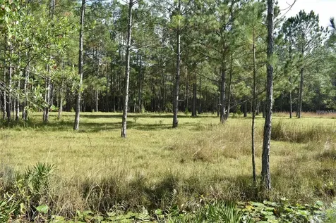 Berry Groves Road Drive Clermont FL 34714