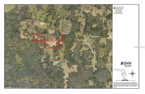 Berry Groves Road Drive Clermont FL 34714