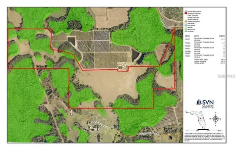 Berry Groves Road Drive Clermont FL 34714