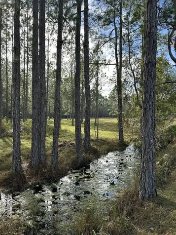 Berry Groves Road Drive Clermont FL 34714