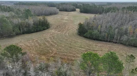 Berry Groves Road Drive Clermont FL 34714