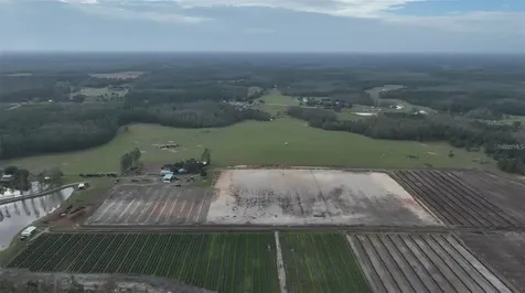 Berry Groves Road Drive Clermont FL 34714