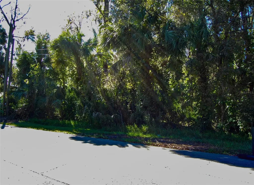 332 Patricia Drive New Smyrna Beach FL 32168