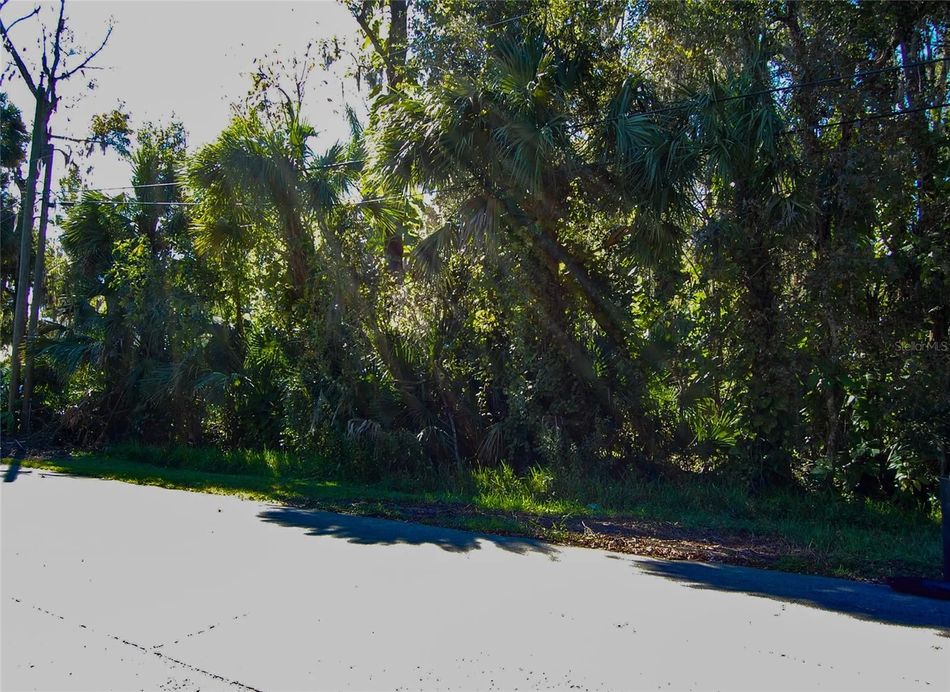 332 Patricia Drive New Smyrna Beach FL 32168