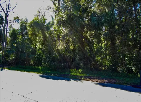 332 Patricia Drive New Smyrna Beach FL 32168