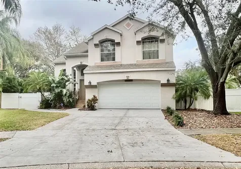 3619 Springville Drive Valrico FL 33596