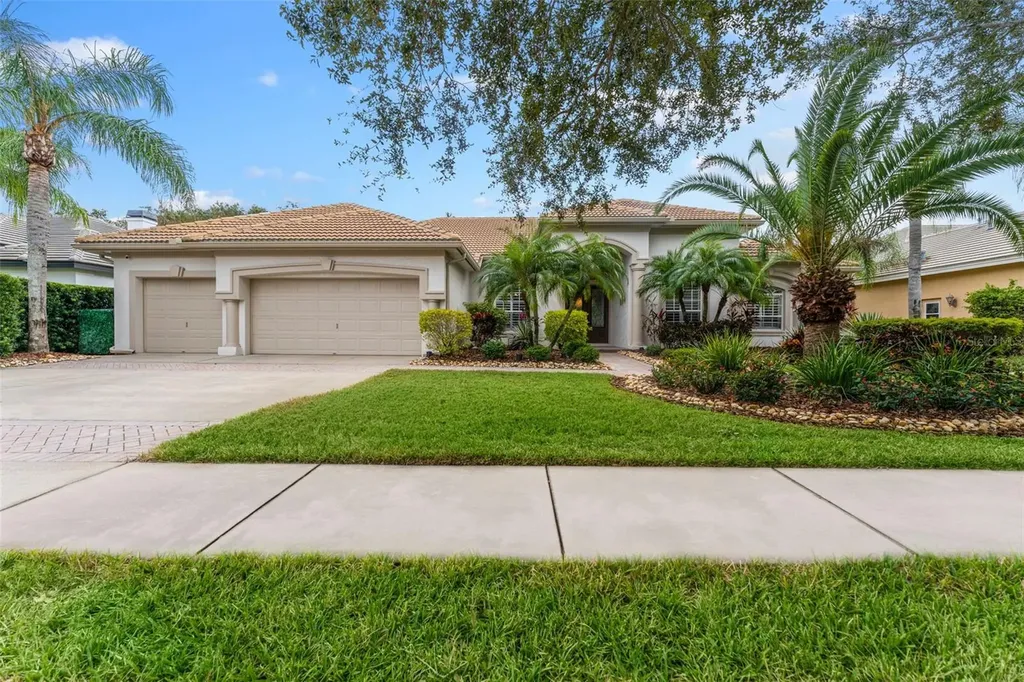 9901 Tree Tops Lake Road Tampa FL 33626