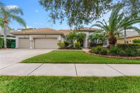 9901 Tree Tops Lake Road Tampa FL 33626