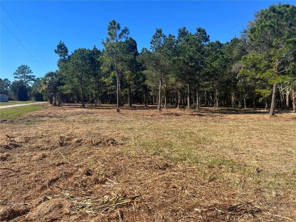 17802 Us-301 Waldo FL 32694