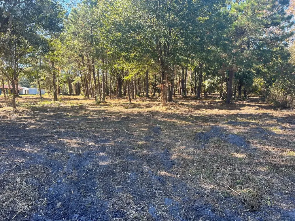 17802 Us-301 Waldo FL 32694