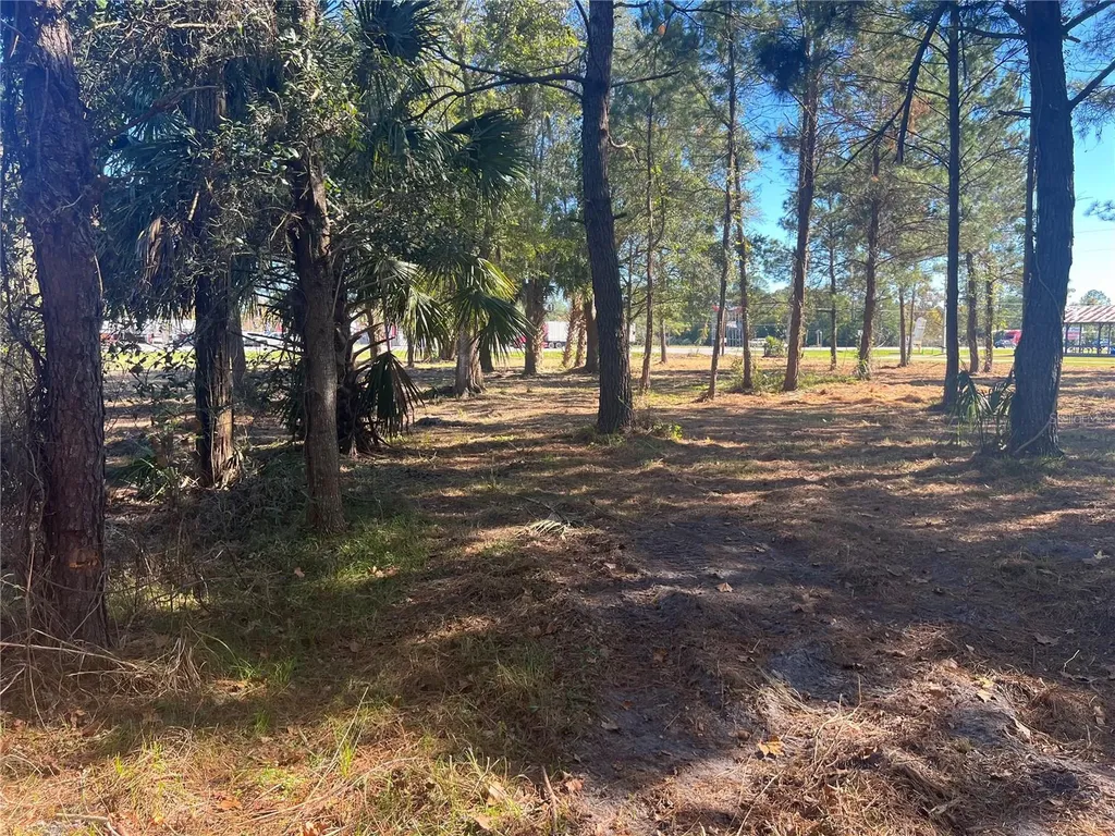 17802 Us-301 Waldo FL 32694