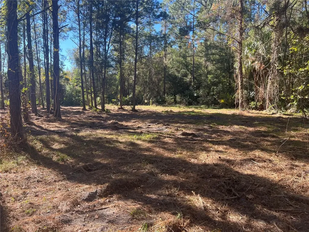 17802 Us-301 Waldo FL 32694