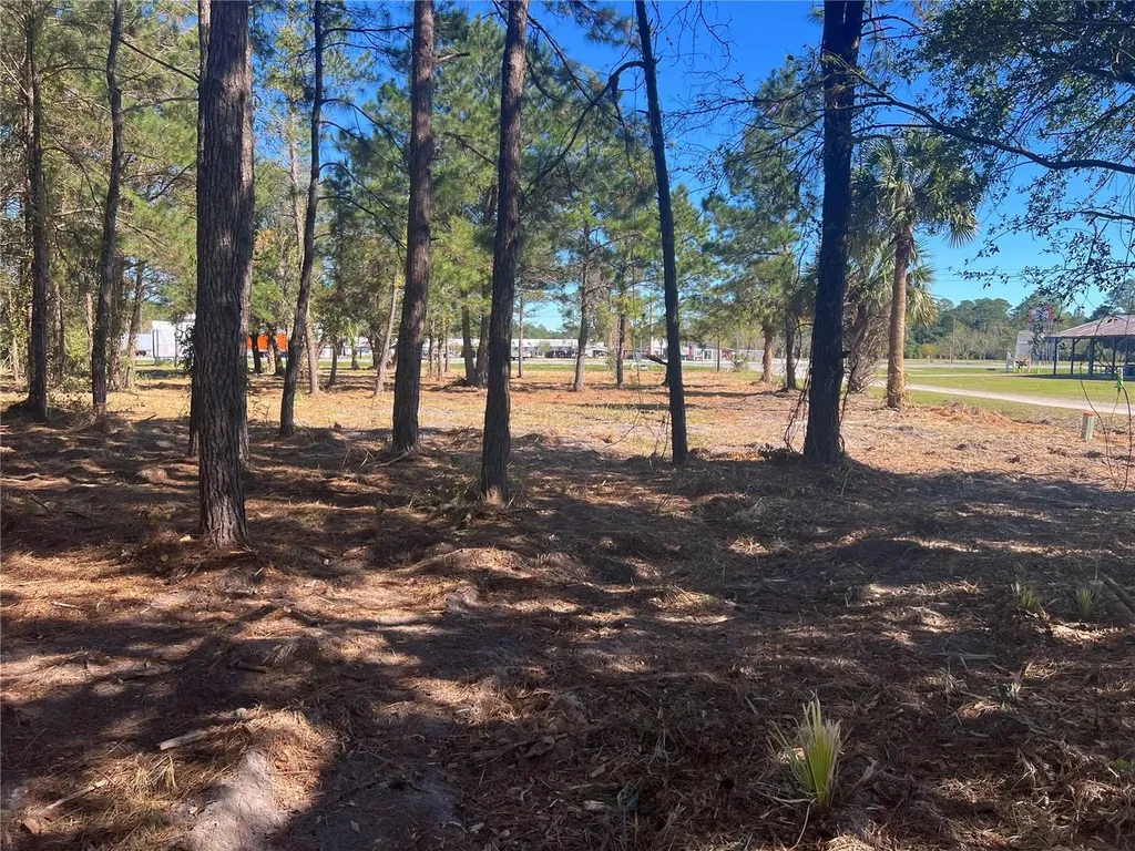 17802 Us-301 Waldo FL 32694