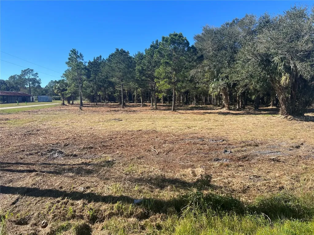 17802 Us-301 Waldo FL 32694