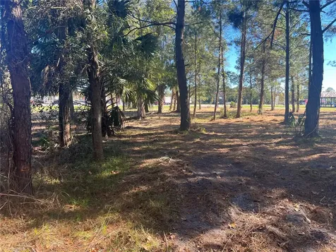 17802 Us-301 Waldo FL 32694