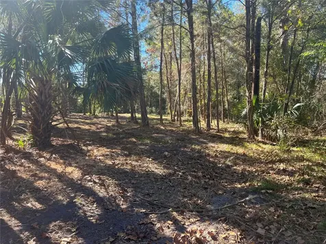 17802 Us-301 Waldo FL 32694