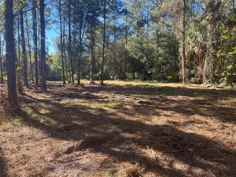 17802 Us-301 Waldo FL 32694