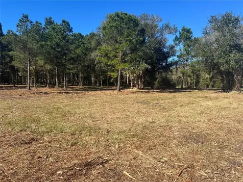 17802 Us-301 Waldo FL 32694
