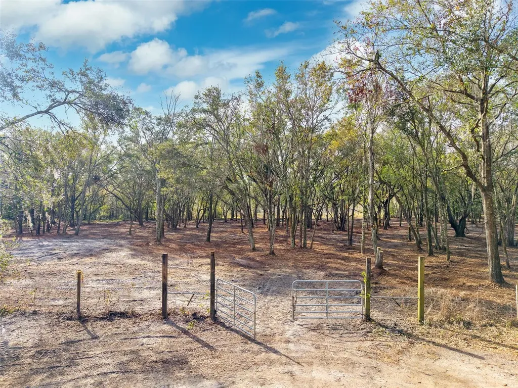 Justin Lane Plant City FL 33565