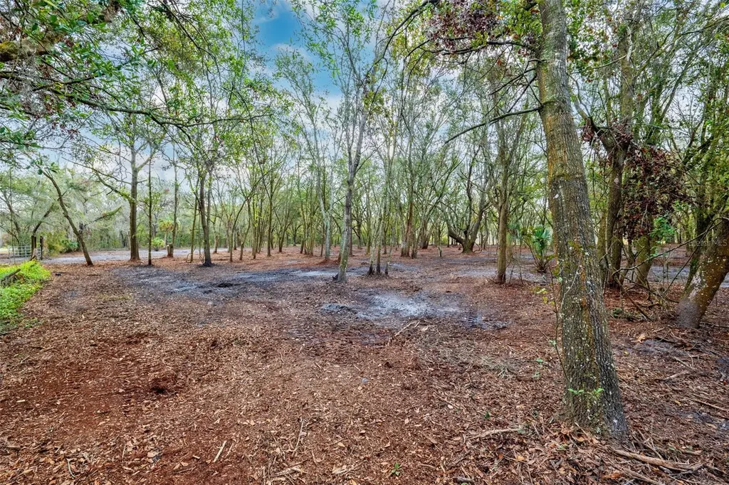 Justin Lane Plant City FL 33565
