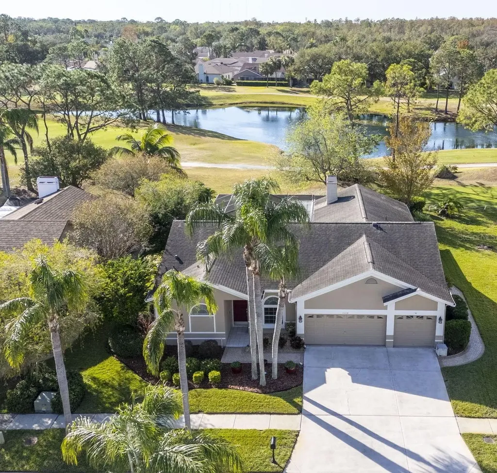 11228 Bloomington Drive Tampa FL 33635