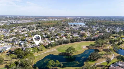 11228 Bloomington Drive Tampa FL 33635