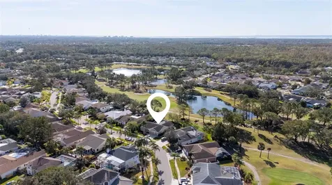 11228 Bloomington Drive Tampa FL 33635