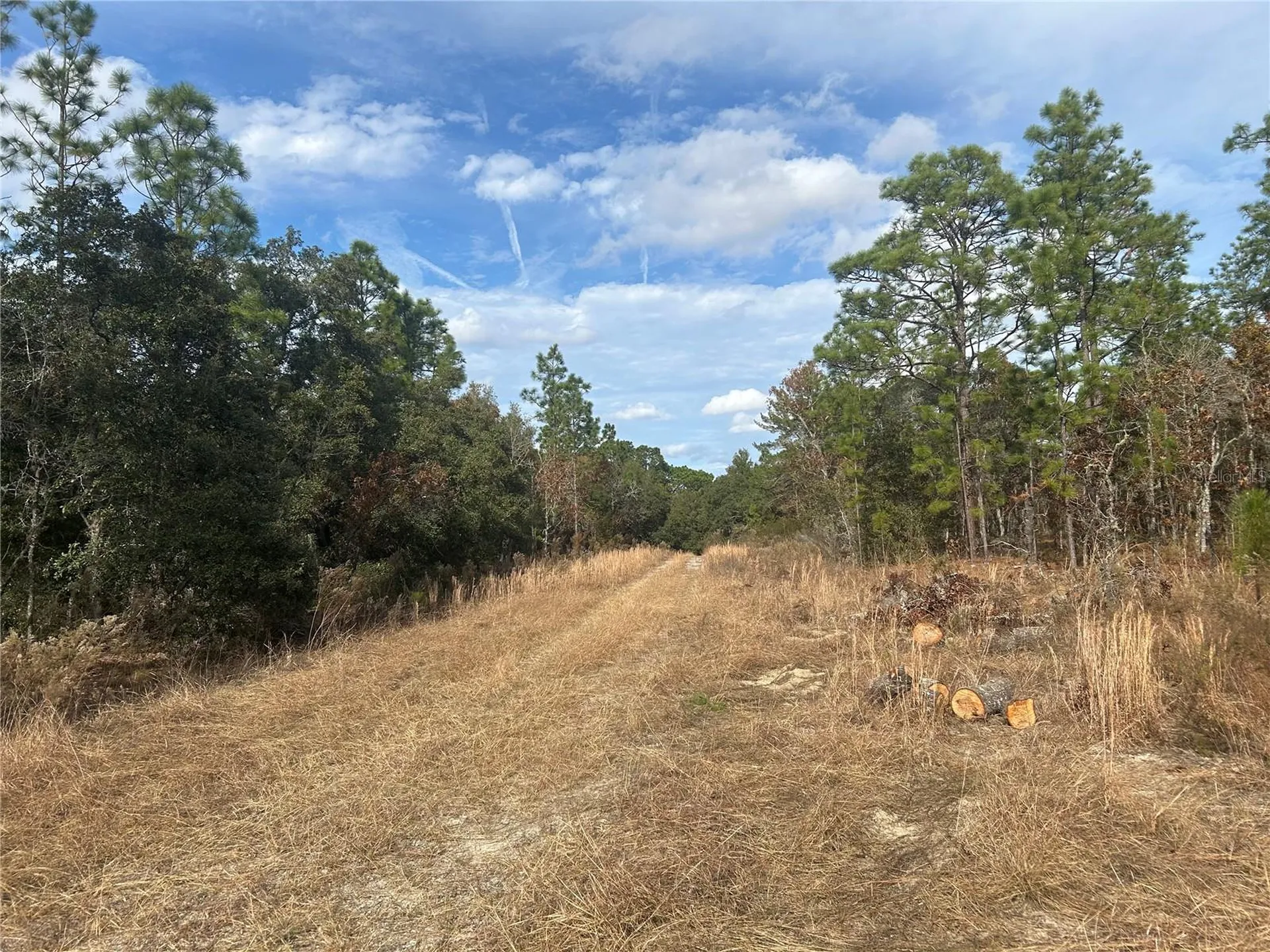 Tbd NE 149th Court Williston FL 32696