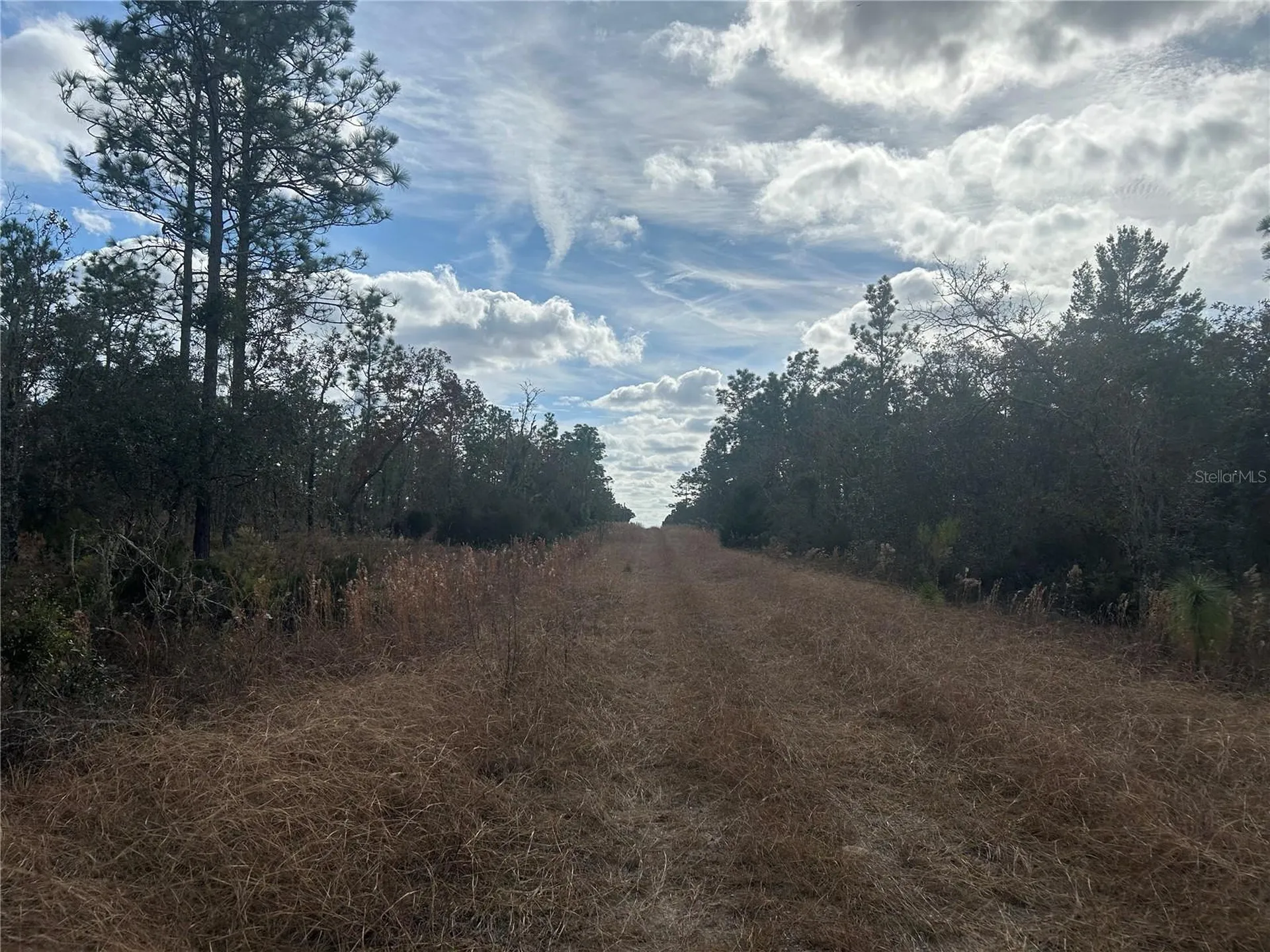 Tbd NE 149th Court Williston FL 32696