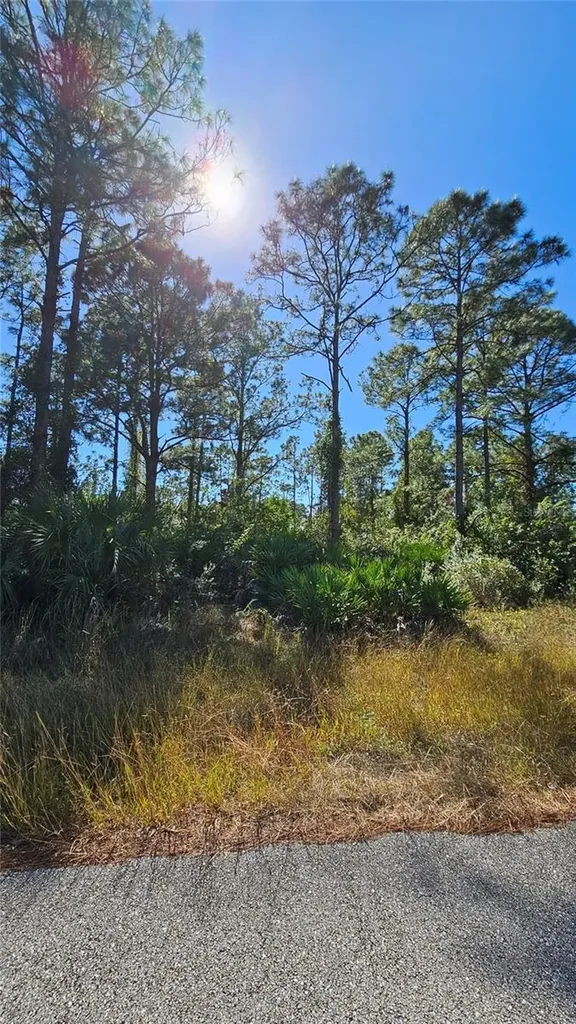 2813 20th Street W Lehigh Acres FL 33971