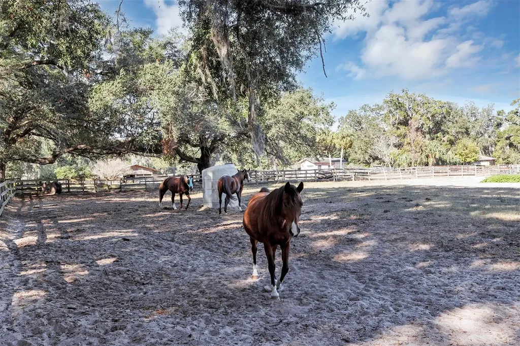 208 NE 70th Street Ocala FL 34479