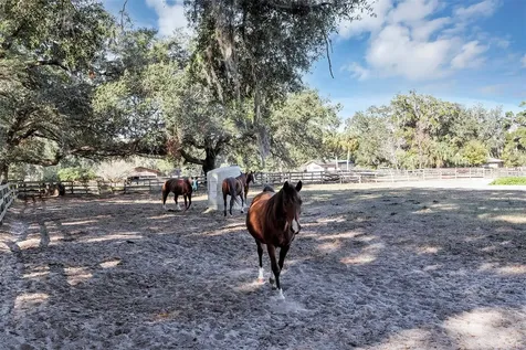 208 NE 70th Street Ocala FL 34479