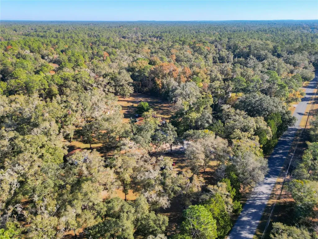 18901 SW 60th Street Dunnellon FL 34432