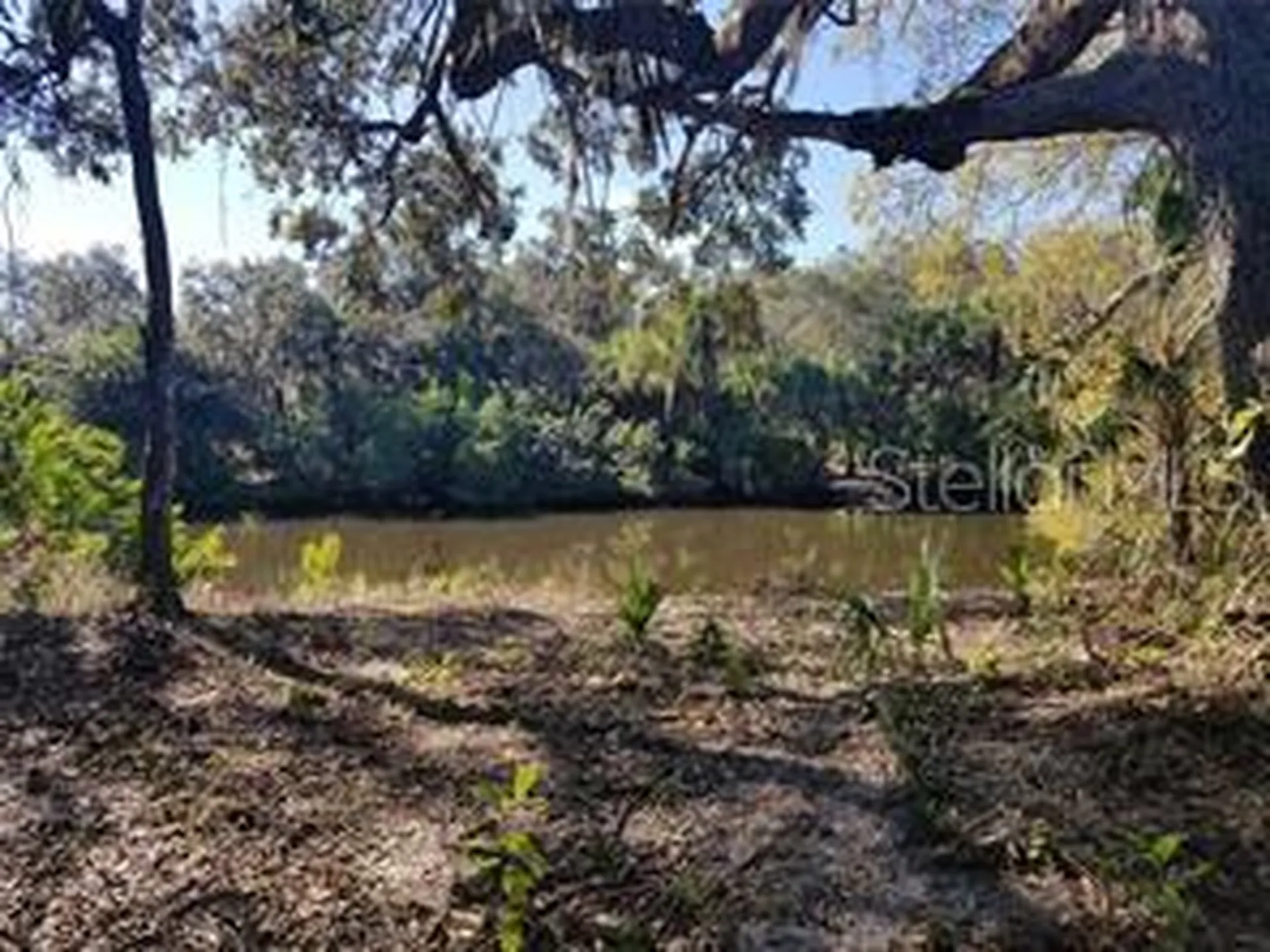 27401 Neaptide Drive Punta Gorda FL 33983