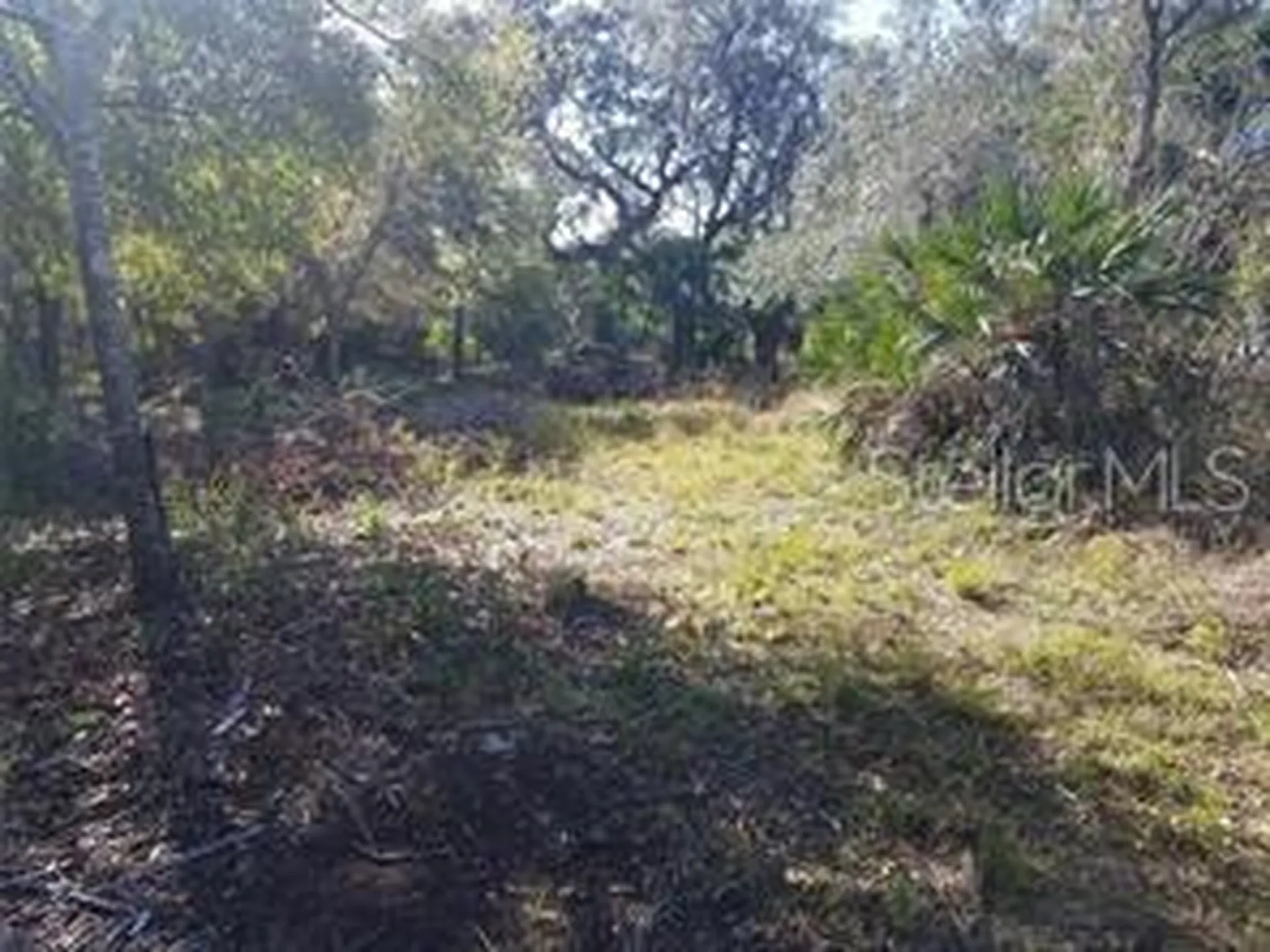 27401 Neaptide Drive Punta Gorda FL 33983