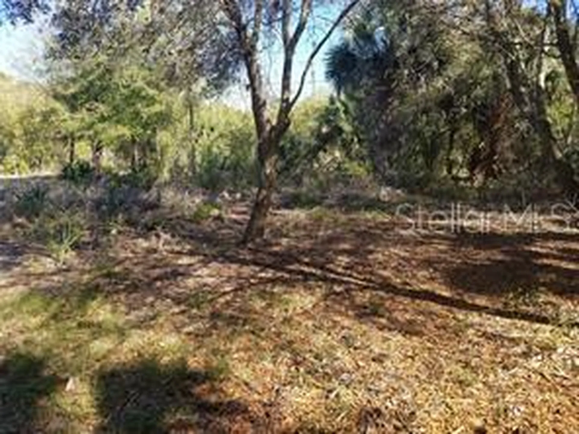 27401 Neaptide Drive Punta Gorda FL 33983