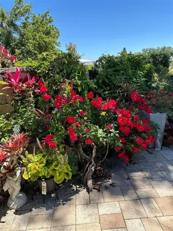 1745 S Gondola Court Venice FL 34293