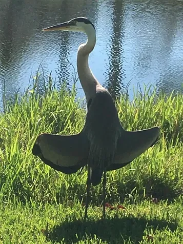 1745 S Gondola Court Venice FL 34293