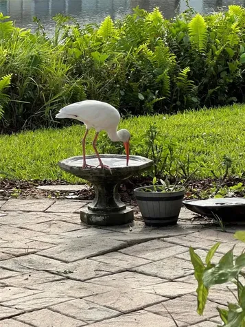 1745 S Gondola Court Venice FL 34293