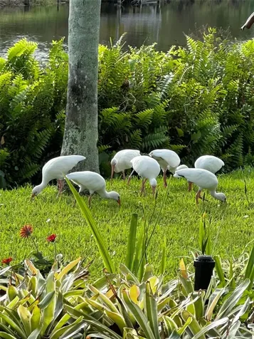1745 S Gondola Court Venice FL 34293
