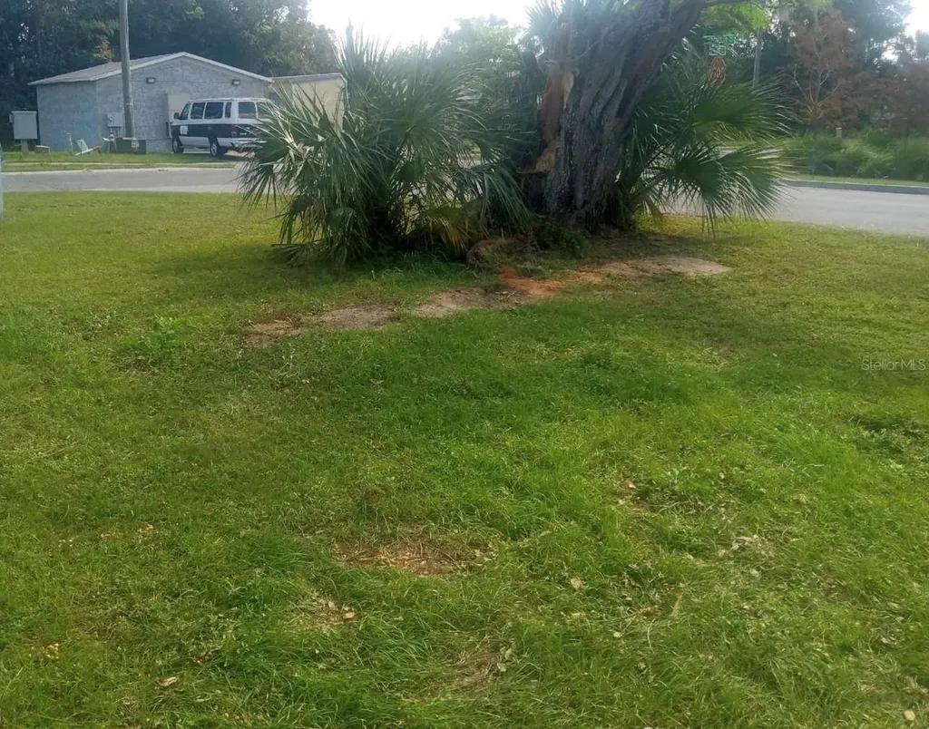 105 S Childs Street Leesburg FL 34748