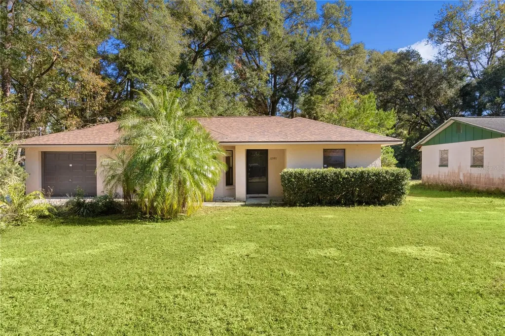 13591 SE 44th Terrace Summerfield FL 34491