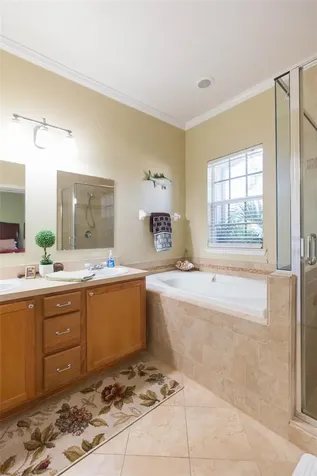10068 Old Haven Way Tampa FL 33624