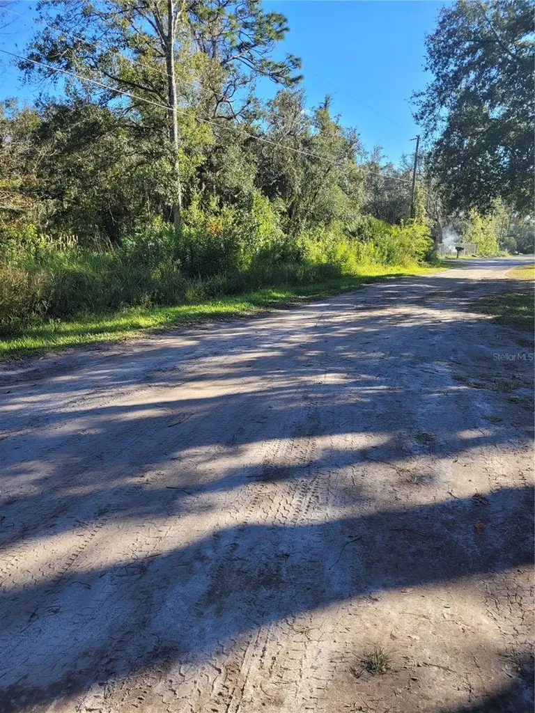 Morena Street New Port Richey FL 34654